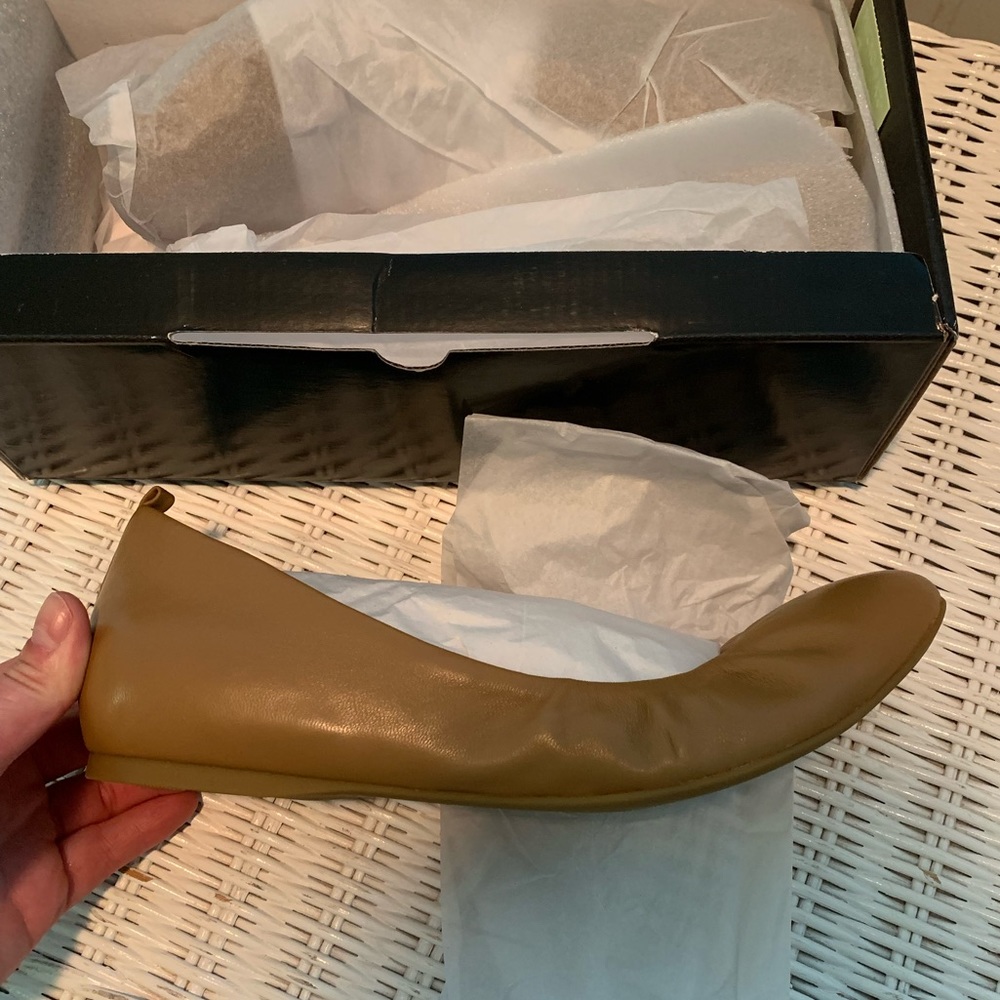 J. Crew Anya Leather Ballet Flat